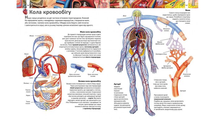 Ілюстрована енциклопедія «Я і світ навколо мене» 9789664661949 /укр/ (5) "Пегас" 126385 фото